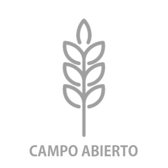 CAMPOABIERTO