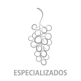 ESPECIALIZADOS
